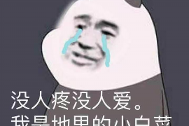 禹王台如何避免债务纠纷？专业追讨公司教您应对之策